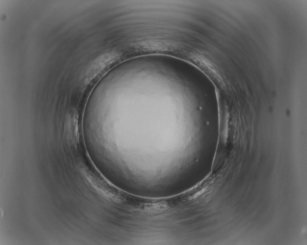 X0000062880398200601201825