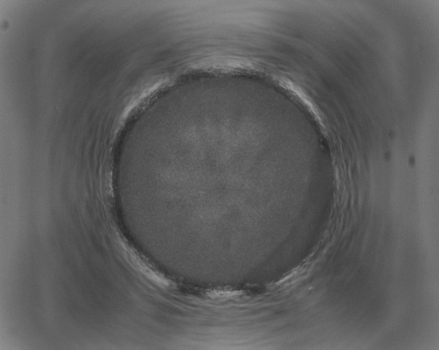 X0000062880399200601201825