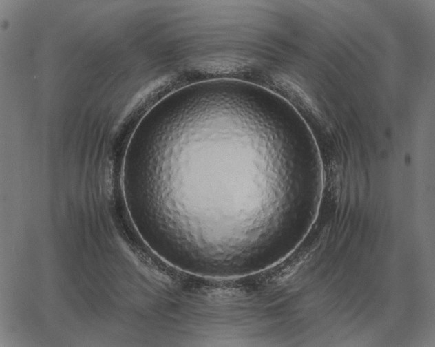 X0000062880400200601201825