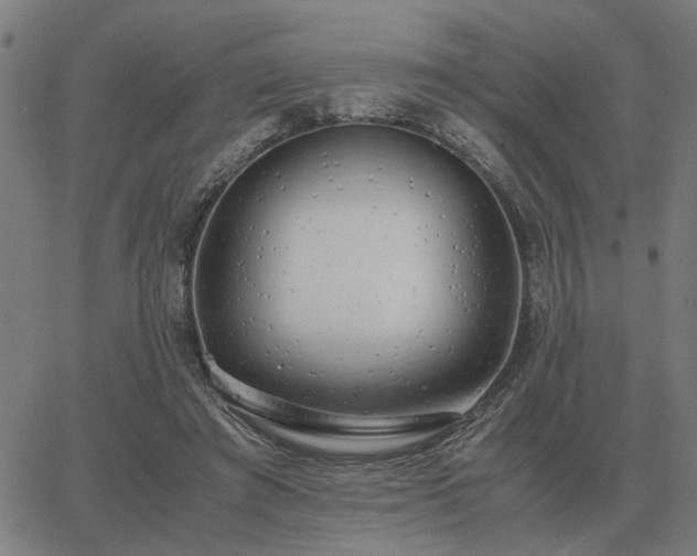 X0000062880401200601201825