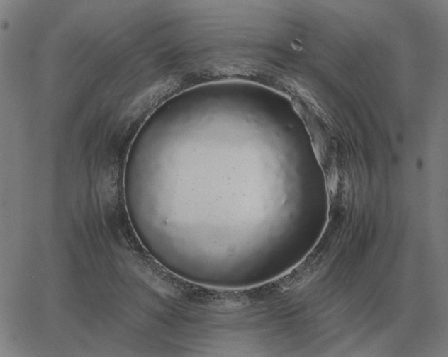 X0000062880402200601201825