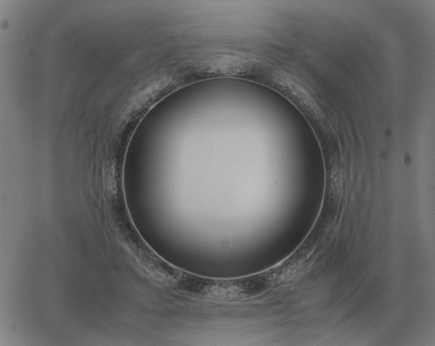 X0000062880403200601201825