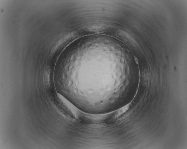 X0000062880404200601201825