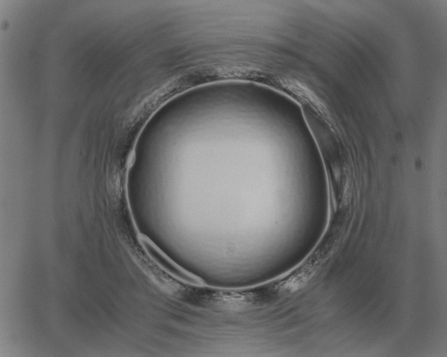 X0000062880405200601201825