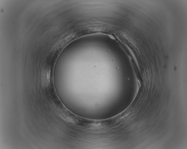 X0000062880406200601201825