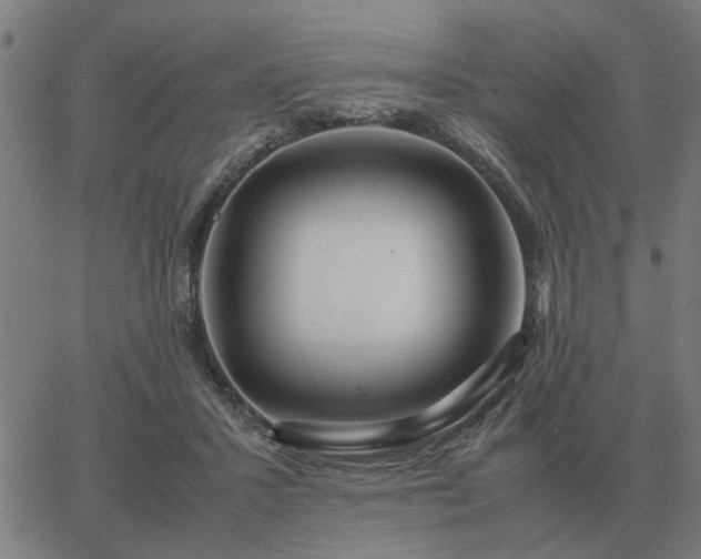 X0000062880407200601201825