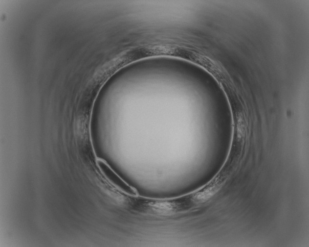 X0000062880409200601201825