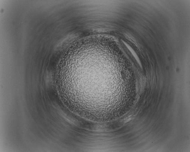 X0000062880410200601201825