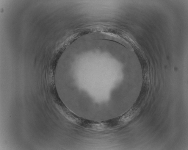 X0000062880411200601201825