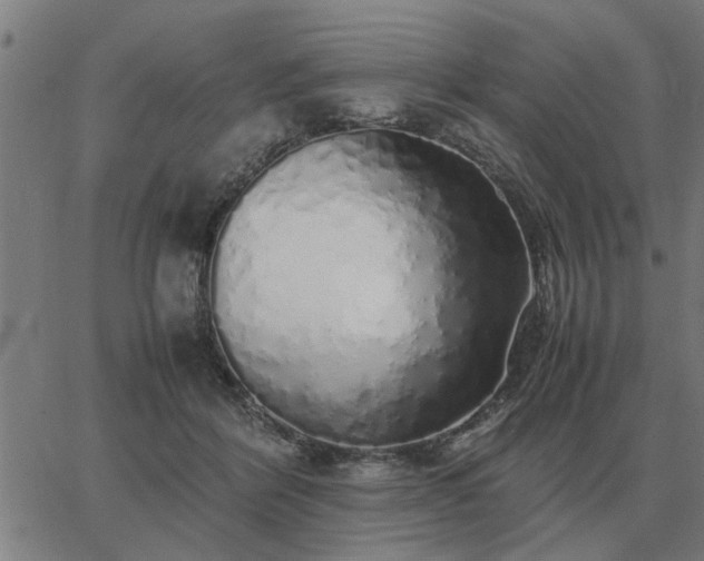 X0000062880412200601201825