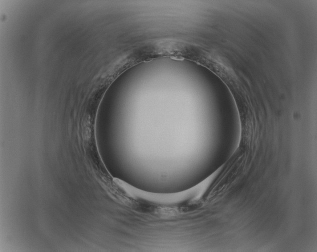 X0000062880413200601201825