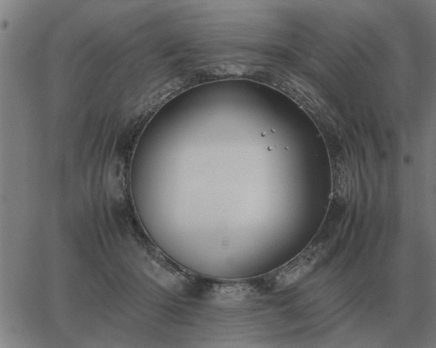 X0000062880414200601201825