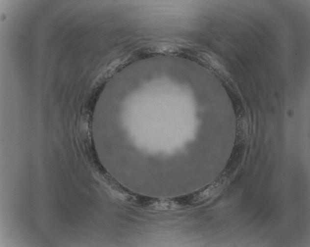 X0000062880415200601201825