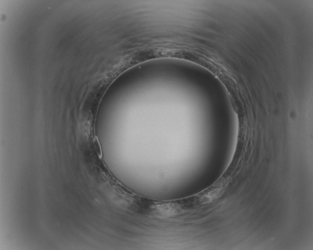 X0000062880417200601201825