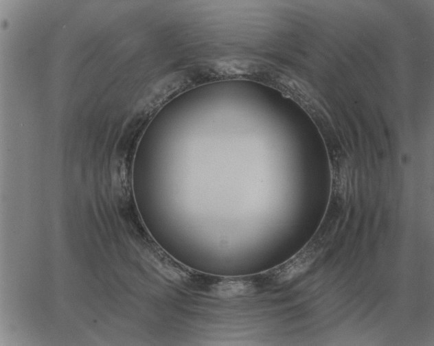 X0000062880418200601201825