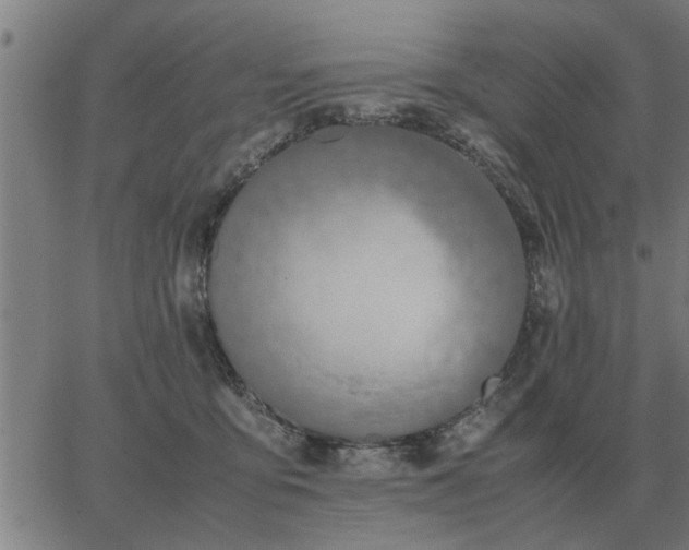 X0000062880419200601201825