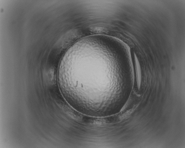 X0000062880420200601201825