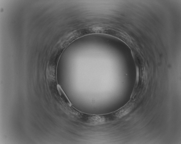 X0000062880421200601201825