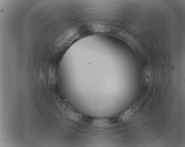 X0000062880422200601201825