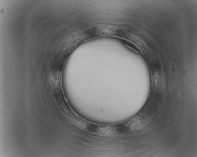 X0000062880423200601201825