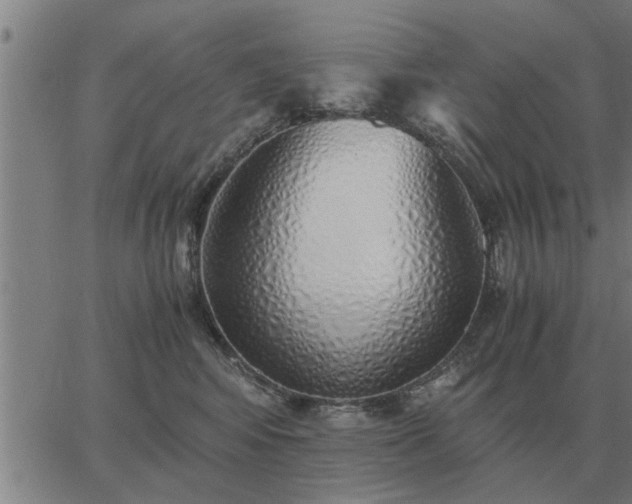 X0000062880424200601201825