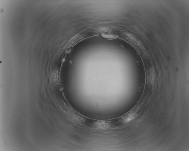 X0000062880425200601201825