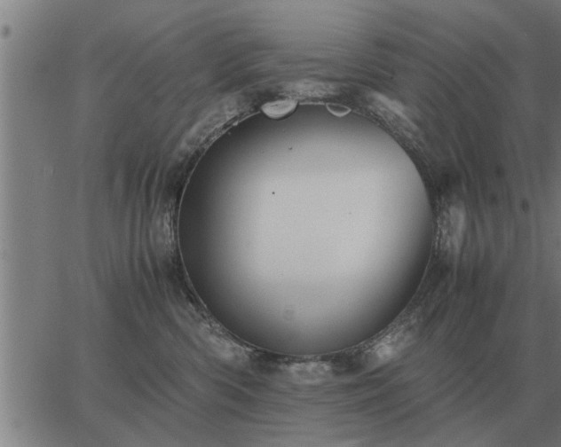 X0000062880426200601201825