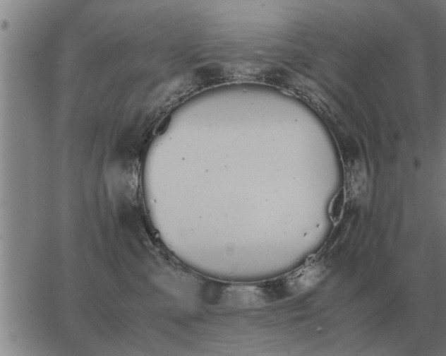 X0000062880427200601201825