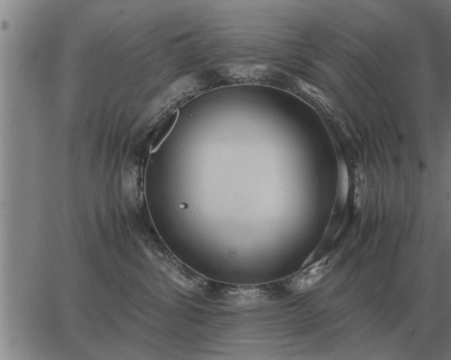 X0000062880428200601201825