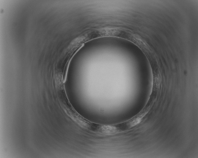 X0000062880429200601201824