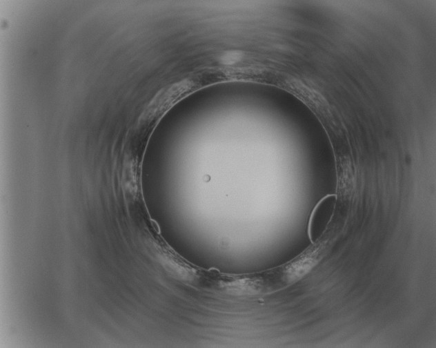 X0000062880430200601201824