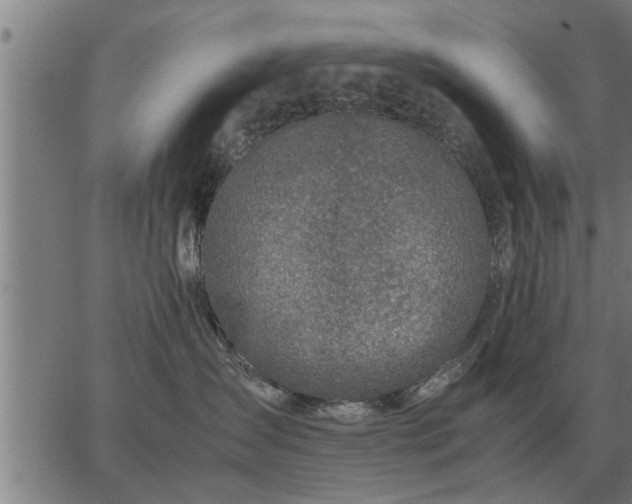 X0000062880431200601201824