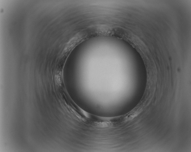 X0000062880432200601201824