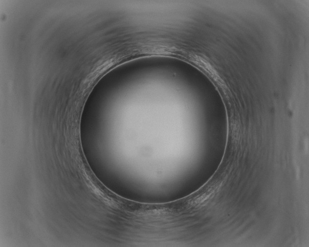 X0000062880433200601201824