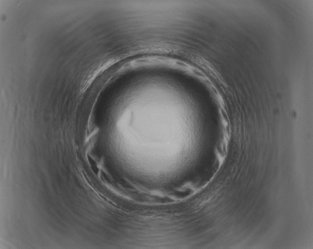 X0000062880434200601201824