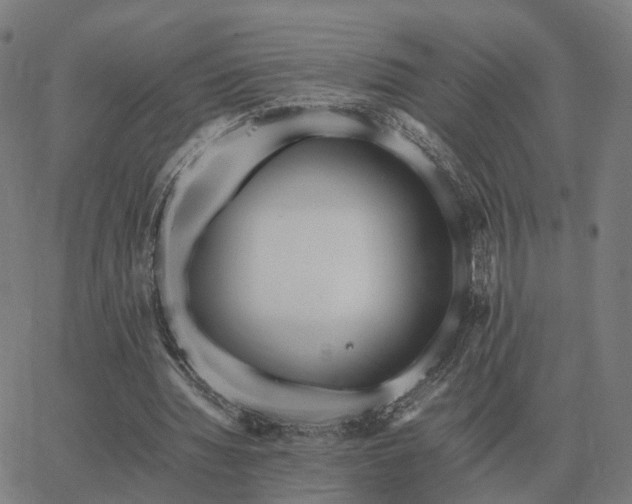 X0000062880436200601201824