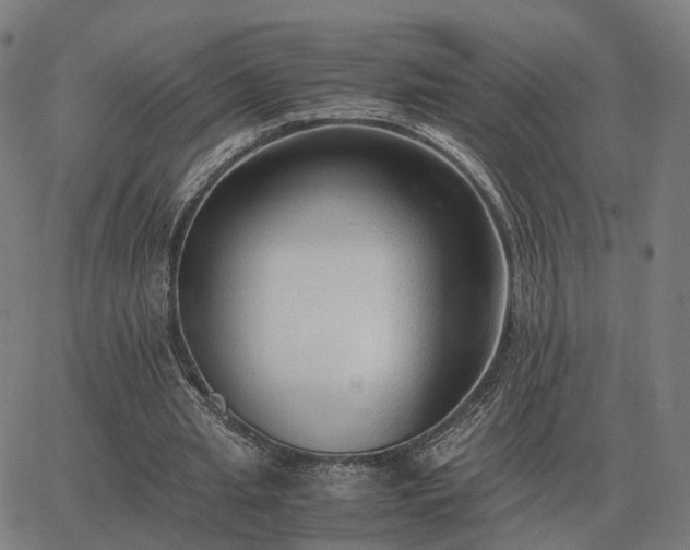 X0000062880437200601201824