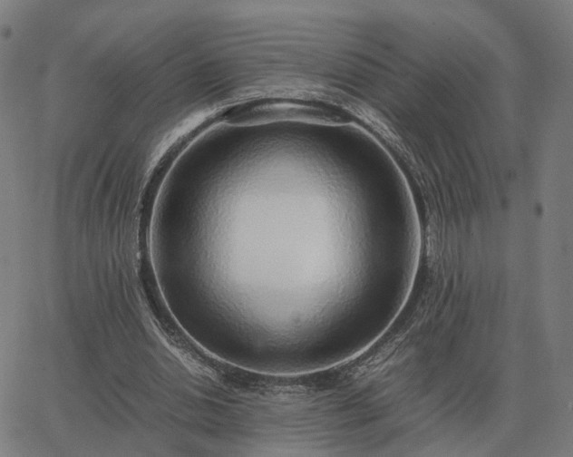 X0000062880438200601201824