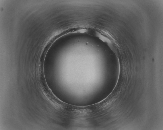 X0000062880439200601201824