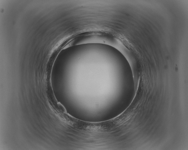 X0000062880440200601201824