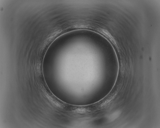 X0000062880441200601201824