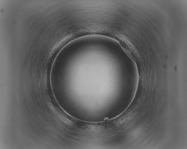 X0000062880442200601201824