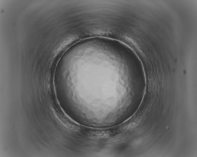 X0000062880443200601201824