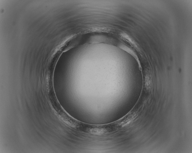 X0000062880444200601201824