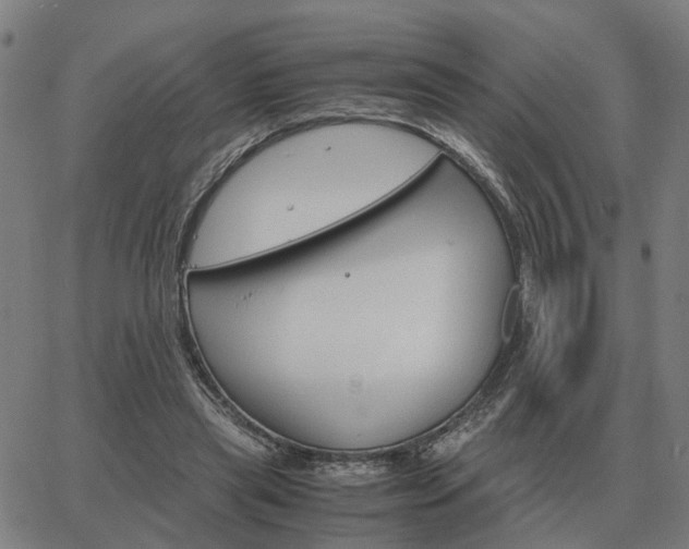 X0000062880445200601201824