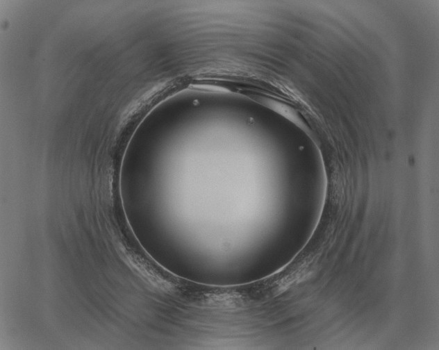 X0000062880446200601201824