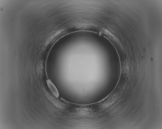 X0000062880448200601201824