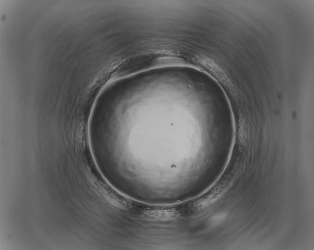 X0000062880449200601201824