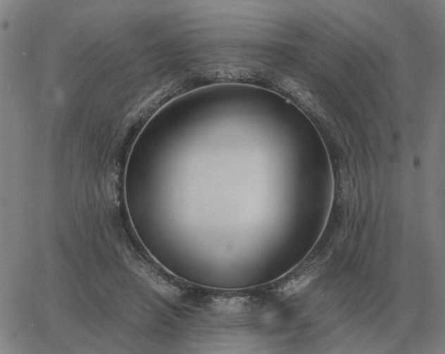 X0000062880450200601201824