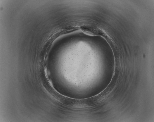 X0000062880451200601201824